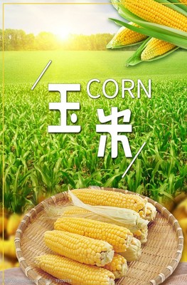 玉米汁宣传单图片素材